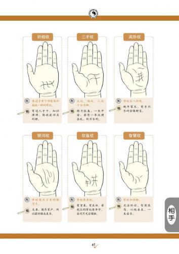 看手相算命(免费算命)插图6
