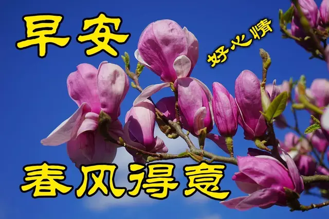 2020年图片大全好看(你好图片大全)插图1