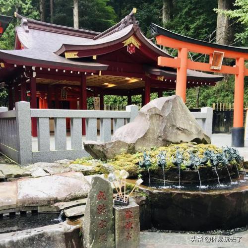 鹤岗亲子酒店排名前十(贵州排名前十亲子酒店)插图8