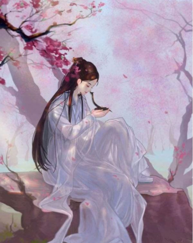 安知晓金牌王妃(金牌王妃txt)插图2
