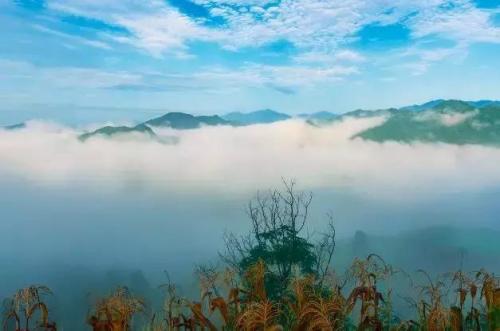 珠山油炸粑粑做法(潭下油炸粑粑做法)插图29
