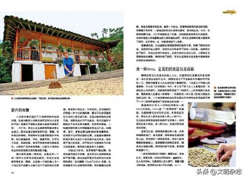 哥伦比亚咖啡(哥伦比亚咖啡属于什么品种)插图6