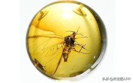 缅甸宝石产量排名前十(缅甸琥珀市场行情)插图23