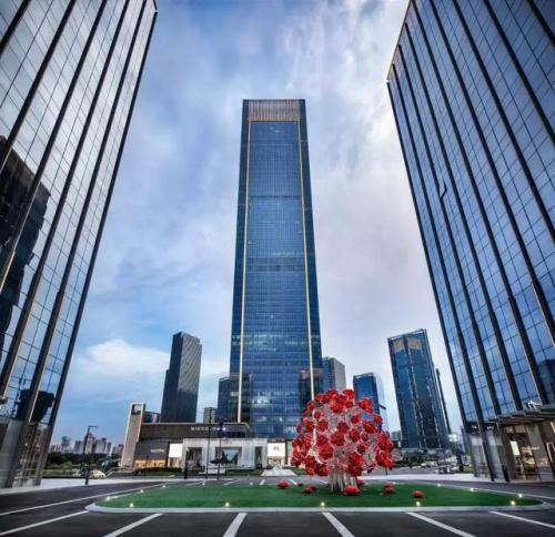 重庆高楼观景台排名前十(武汉高楼观景台票价)插图3