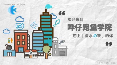 龙鱼缸火山石(龙鱼缸可以放火山石吗)插图