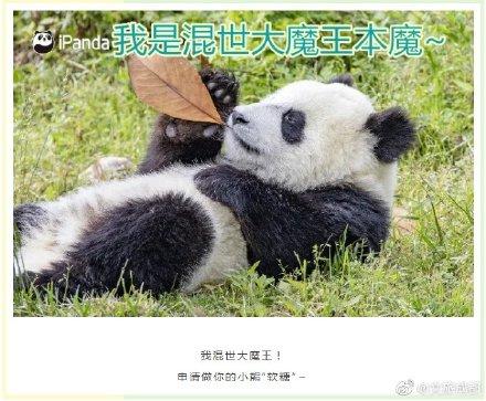 土味情话大全(撩妹500句土味情话)插图