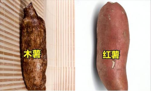 食品原材料排名前十(酸性食品排名一览表)插图6
