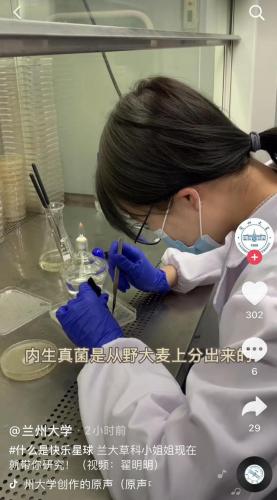 快乐星球1(快乐星球5电视剧)插图8
