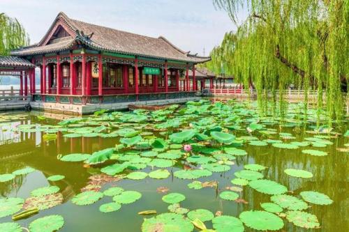 济南景点排名大全前十(济南景点60岁拿身份证免费吗)插图11
