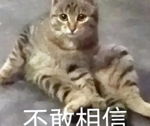 衡水复读学费排名前十(衡水复读一年费用)插图5