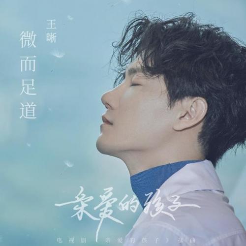 王志文歌曲(想说爱你不容易王志文完整版)插图