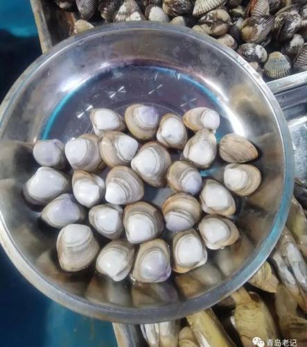 青岛海鲜品种排名前十(青岛海鲜餐厅人气排名)插图33