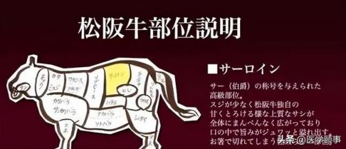 牛棚牛排品牌排名前十(调理牛排品牌排行榜)插图1