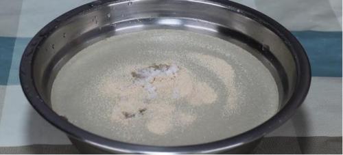 酵母菌发酵(酵母菌)插图1