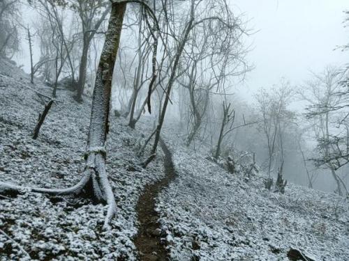 四川哪里下雪了(2023第一场雪)插图8