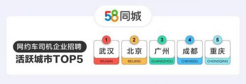 招司机平台(货车司机找活平台)插图1