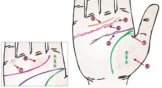 掌纹分析专家排名前十(掌纹密码书籍)插图22