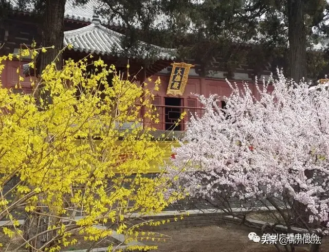 锦州旅游(锦州美食必吃10家饭店)插图11