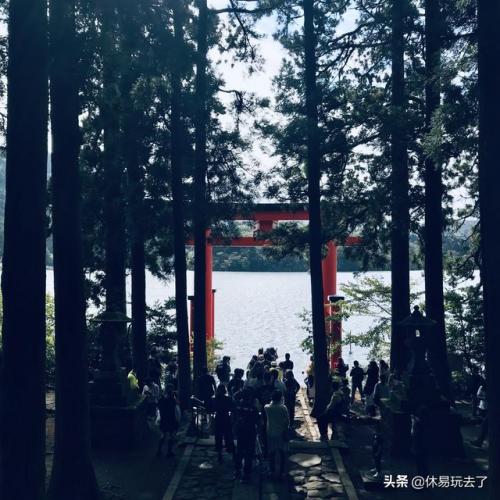 鹤岗亲子酒店排名前十(贵州排名前十亲子酒店)插图6