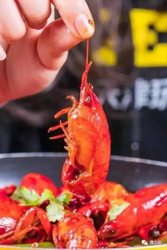 武清吃饭酒店排名前十(武清高档酒店好评排行榜)插图8