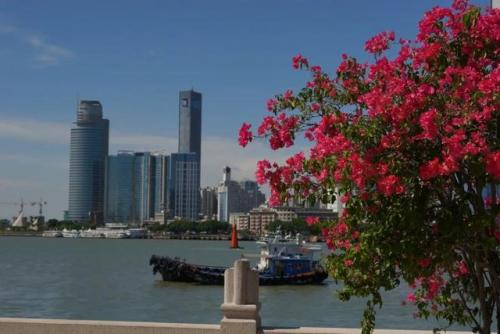 鼓浪屿旅游景点(鼓浪屿旅游攻略)插图7