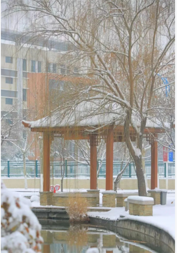 河南经贸学院(河南经贸学费一年多少钱)插图17
