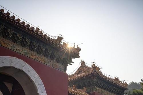 摄像机广角镜头(广角12-24镜头)插图8