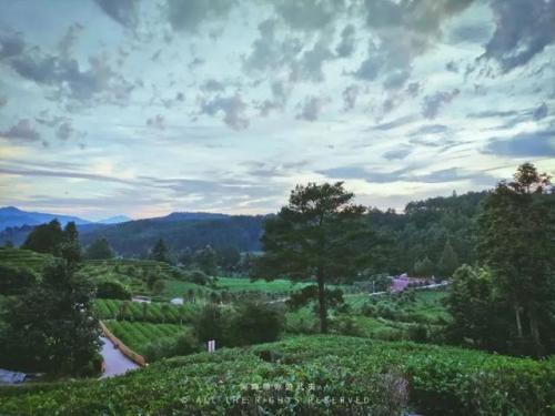 武夷山景点(武夷山景点介绍)插图28