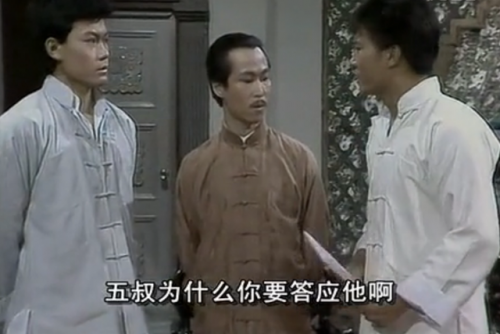 电视剧霍东阁(83版霍东阁演员表)插图9