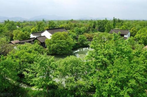 杭州排名前十的景点(杭州必游的景点推荐)插图16