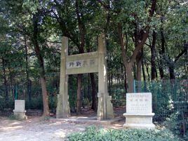 苏州古墓景点排名前十(苏州游玩必去的地方)插图5