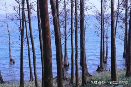 湛江最高景点排名前十(湛江一日游去哪里好玩)插图3