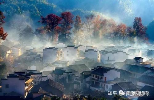婺源油菜花(婺源油菜花文案)插图8