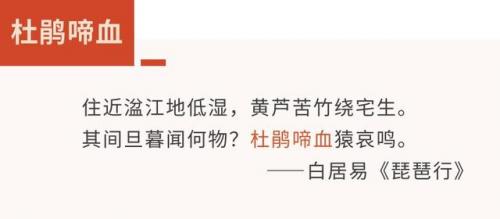 菡萏是什么(菡萏特殊含义)插图18