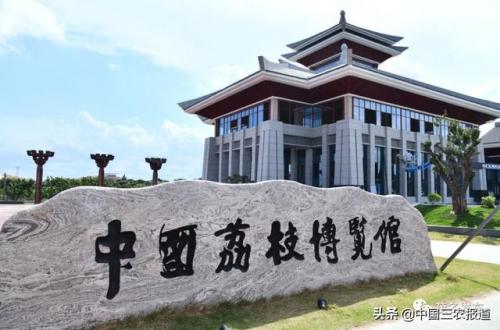 白糖罂荔枝(白糖罂荔枝多少钱一斤)插图1