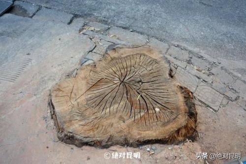 昆明摇滚酒吧排名前十(昆明最好的自唱酒吧)插图4