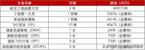 迪拜考研学校排名前十(迪拜大学)插图3