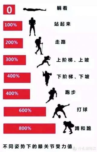 划船器品牌(划船器规格)插图6