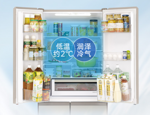 日立畅销冰箱排名前十(与日立齐名的冰箱)插图5