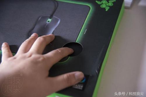 重装甲虫(锹甲虫一只多少元)插图1
