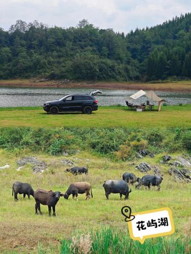 贵阳露营经济排名前十(大理露营基地排名)插图4