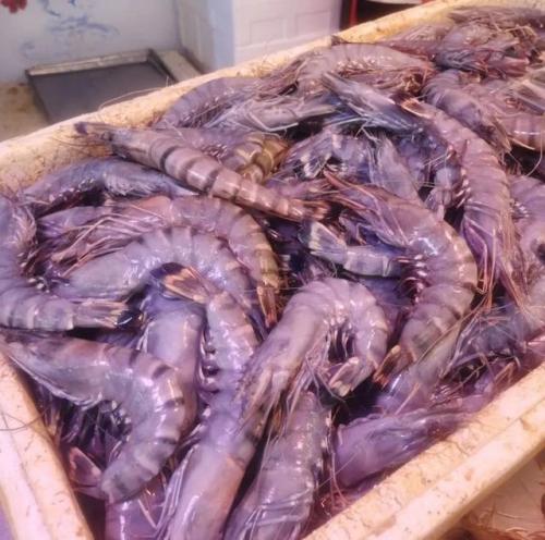 青岛海鲜品种排名前十(青岛海鲜餐厅人气排名)插图6