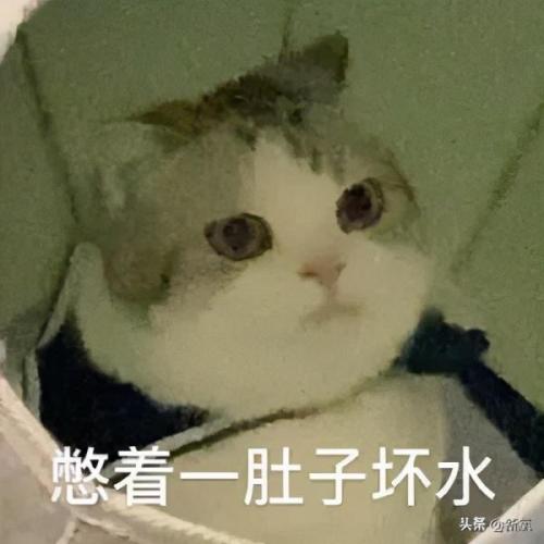任豪百度百科(任豪百科介绍)插图49