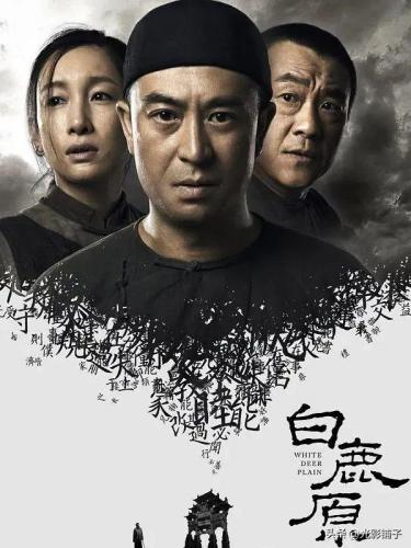 怀旧电视剧(农村电视连续剧大全)插图11