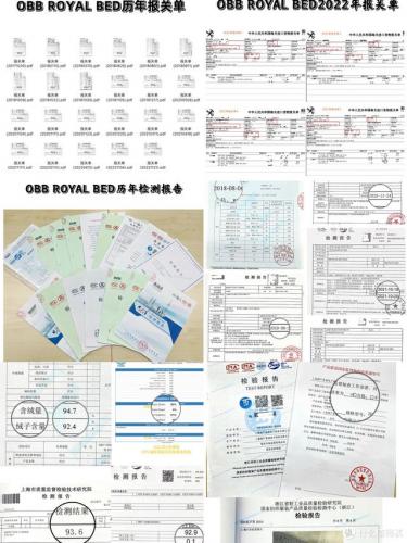 鹅绒加工企业排名前十(鹅绒产地哪里的好)插图12