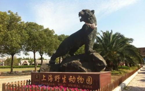 上海景点排行榜(去上海必买的三样东西)插图4