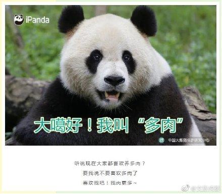 土味情话大全(撩妹500句土味情话)插图8