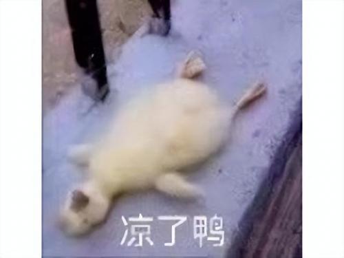 萌将三国通用礼包兑换码(萌三国礼包万能兑换码)插图6