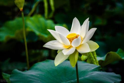 爱不爱我大嘴巴(给你最爱的大嘴巴子是什么意思)插图1