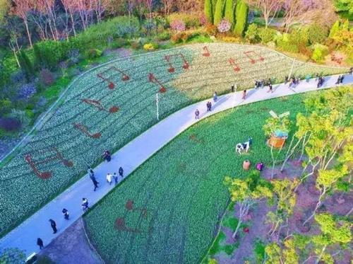 上海划船景区排名前十(上海划船的公园哪个比较好)插图10